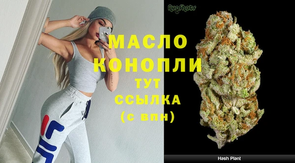 гидра Елизово