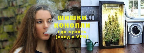 дживик Елабуга