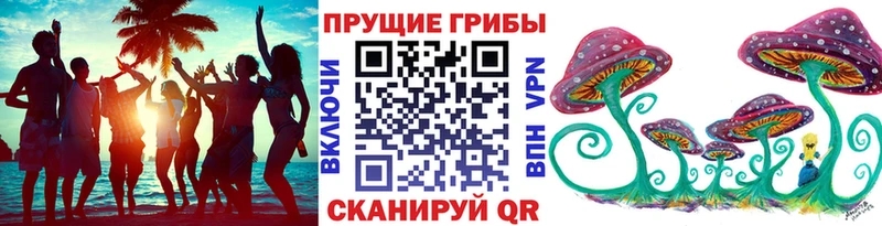 Галлюциногенные грибы прущие грибы  Петровск-Забайкальский 