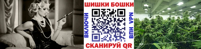 Бошки Шишки ГИДРОПОН  как найти закладки  Петровск-Забайкальский 
